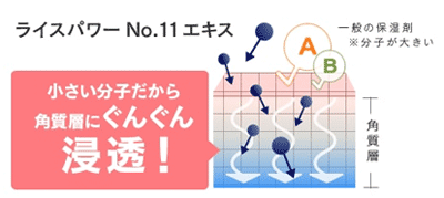 ライスパワーエキス図解