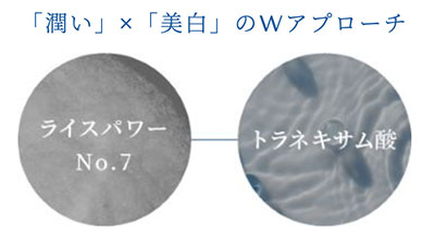 米肌のW成分