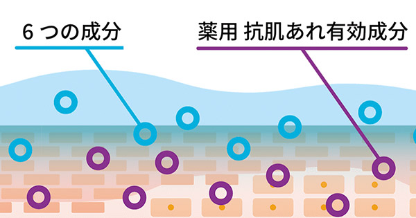 プリオール図解