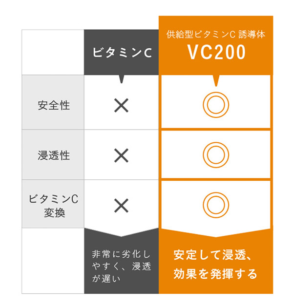 シーボディ_VC比較