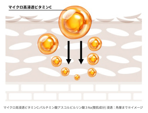新vc100_マイクロ高浸透ビタミン