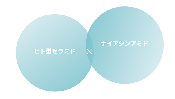 アルティ_セラミドとナイアシンアミド