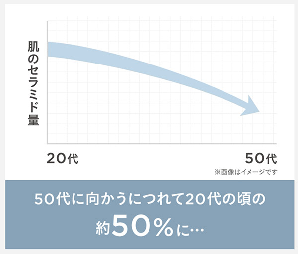 肌のセラミド量は徐々に低下