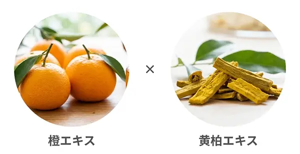 2604_Norganic_Basic_エキス