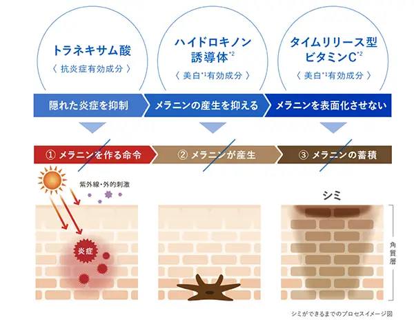 薬用アクティブクリア_有効成分
